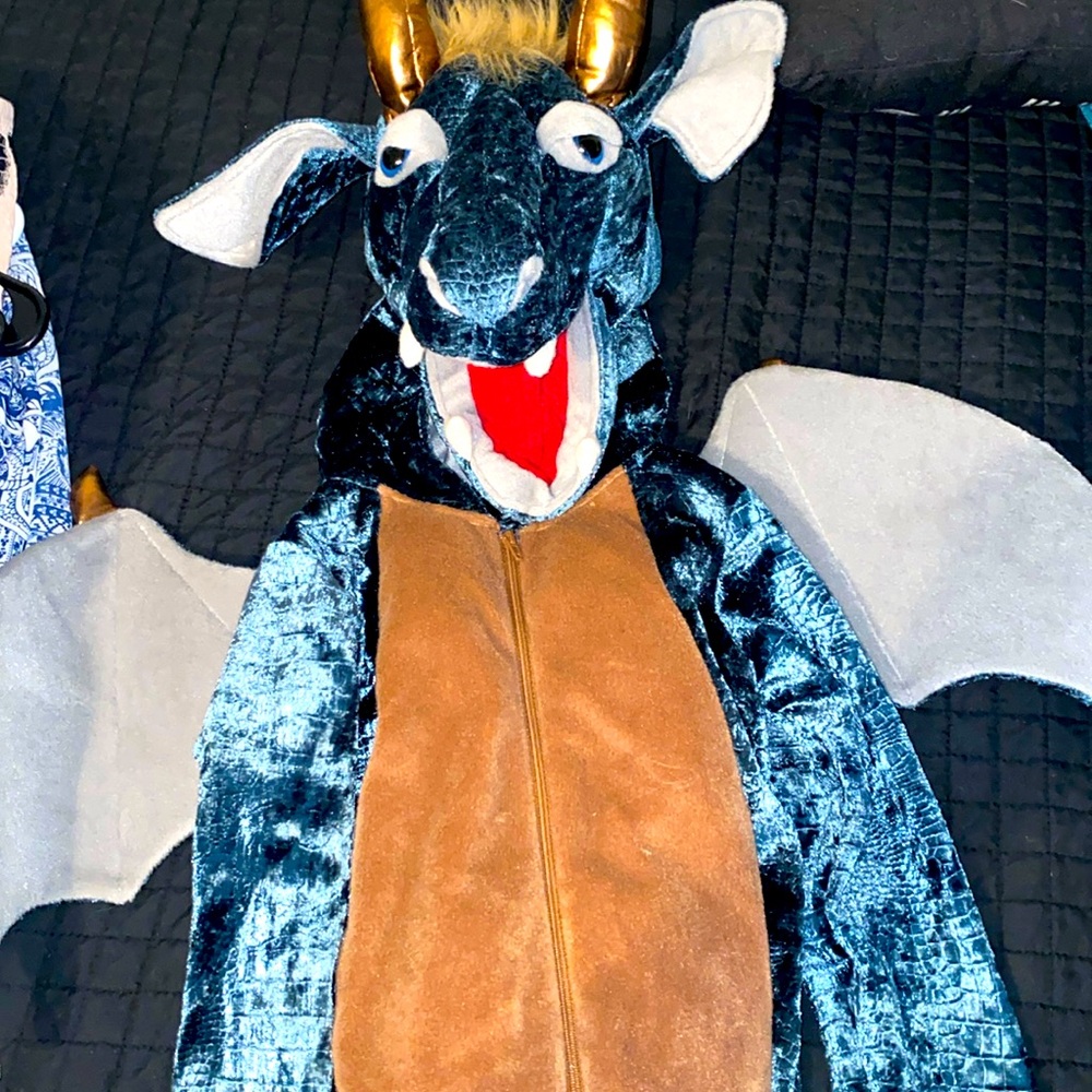 Velvet metallic dragon costume